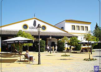 Bodega SANDEMAN