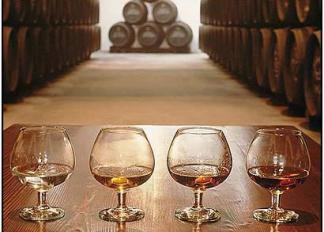 Cata de Brandys