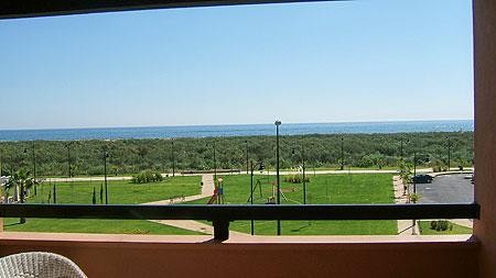 caay05 image