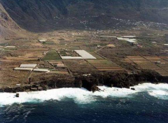 la-maceta image