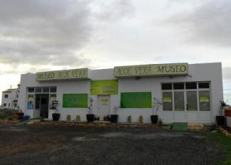 Museo del Aloe Vera Fuerteventura