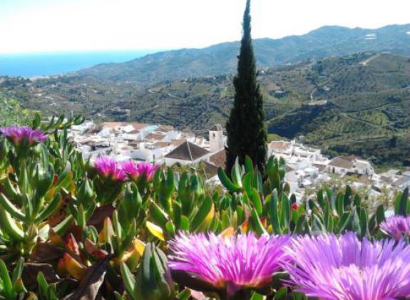 holiday-home-villa-ana image