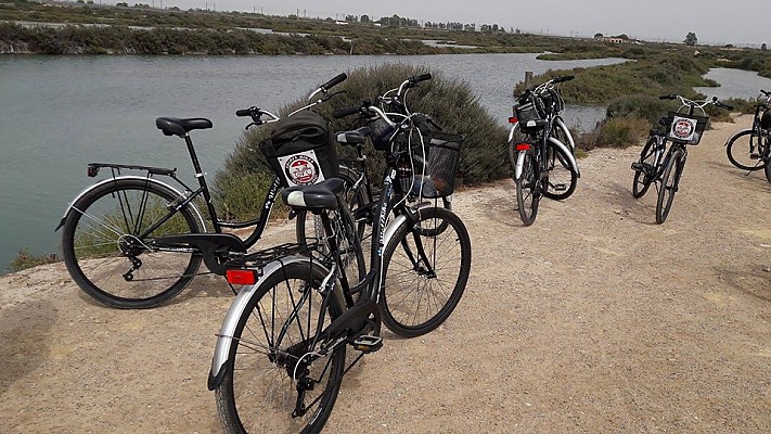 Alquiler de bicicletas ¡Haz tu reserva!