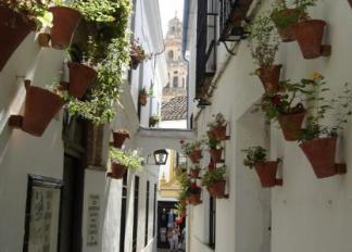 Calleja de las Flores