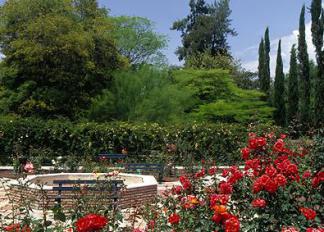 Jardín Botánico