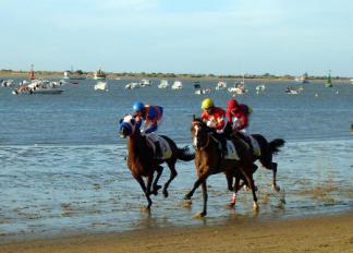 Carreras de Caballos en Sanlucar