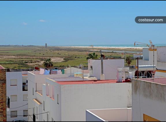 conil316 image