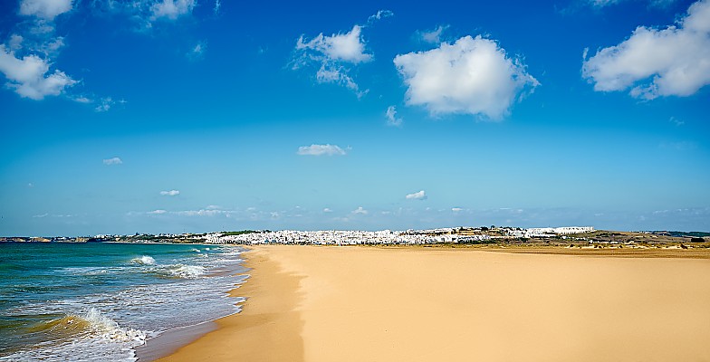 Conil