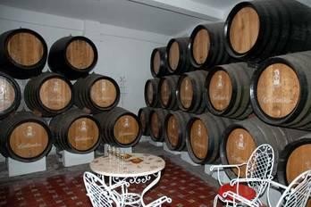 Bodegas Primitivo Collantes