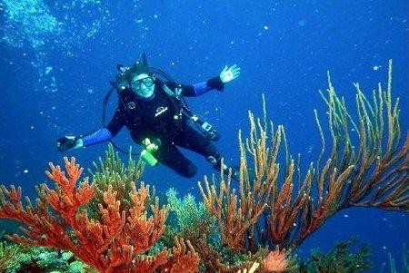 Novojet Buceo