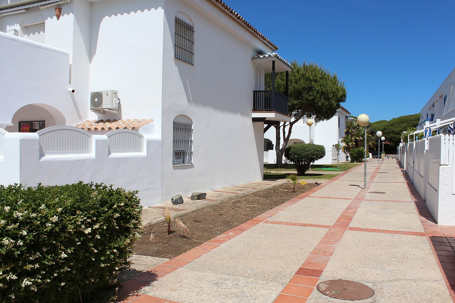 La Mandrágora. Edificio