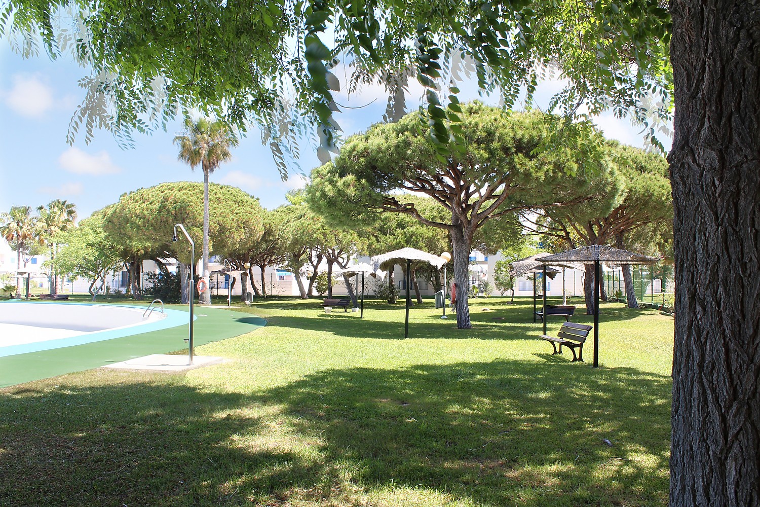 Jardín La Mandrágora.