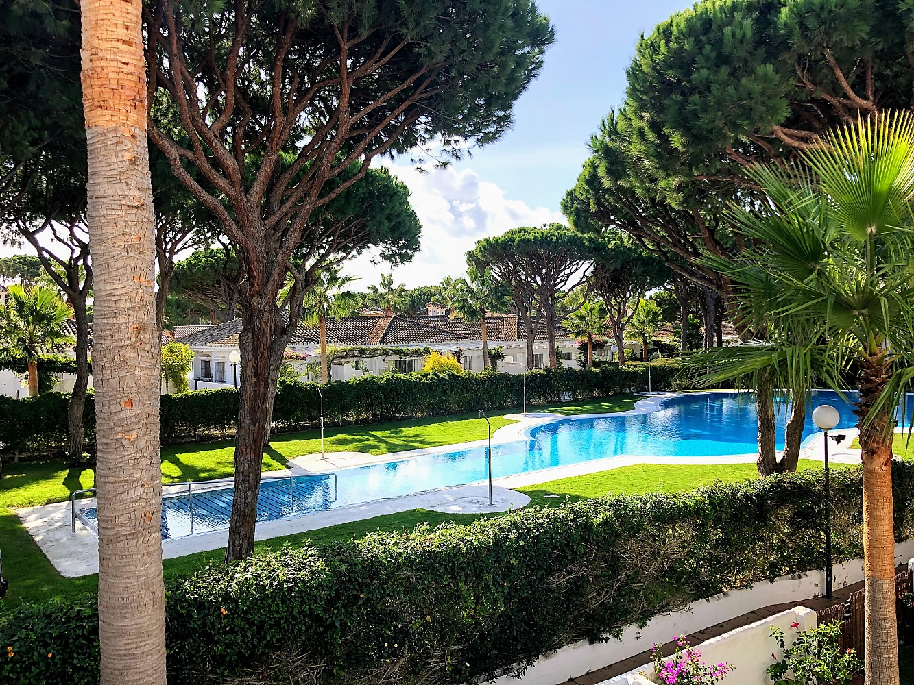 La piscina tiene forma de guitarra española en el alojamiento Zinna