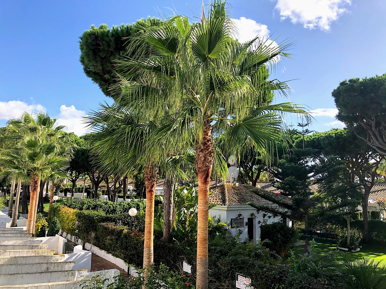 Imagen de Jardín