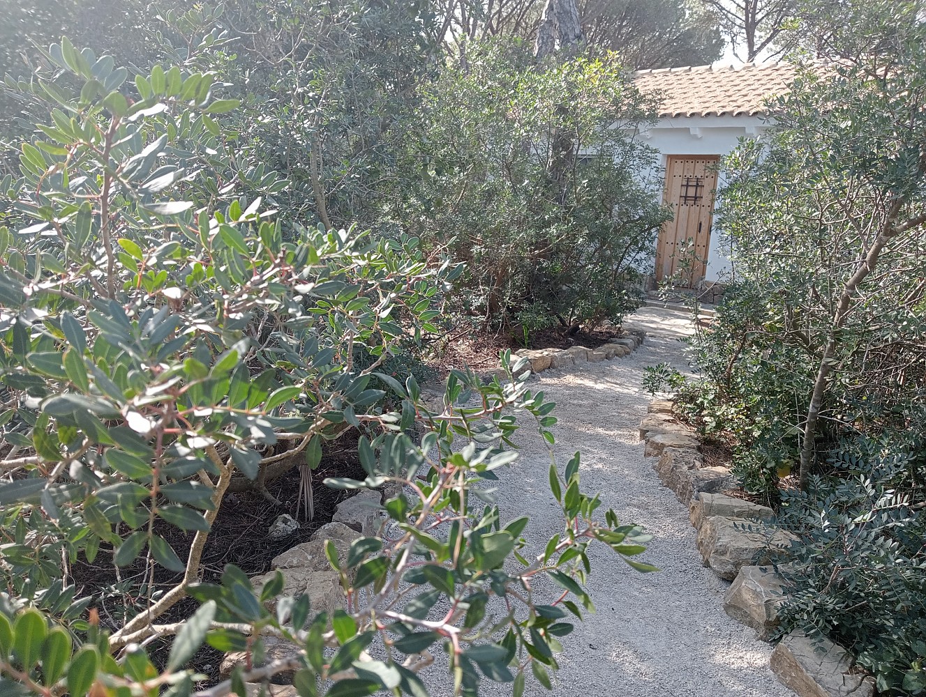 Imagen de Jardín