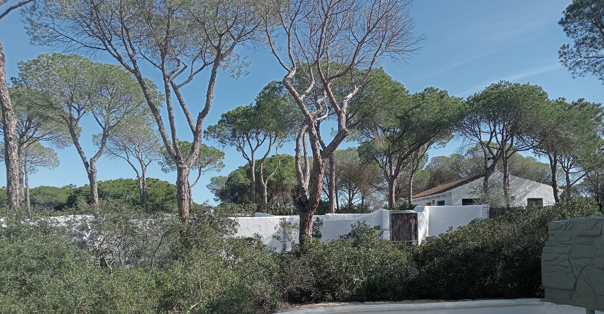 Chiclana de la Frontera Edificio