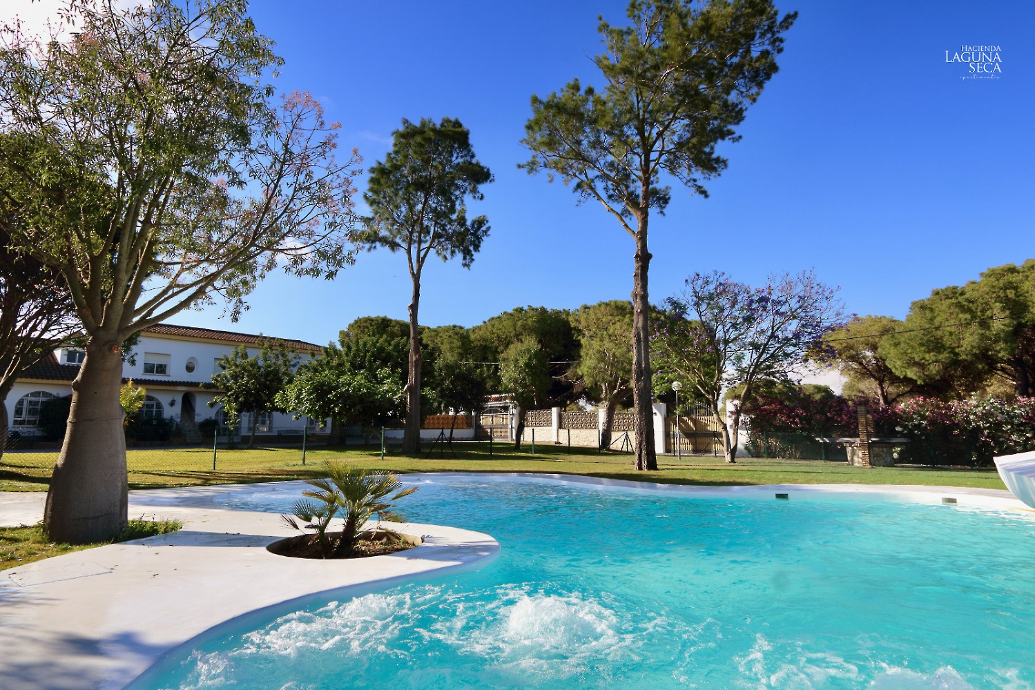 Apartamentos Piscina