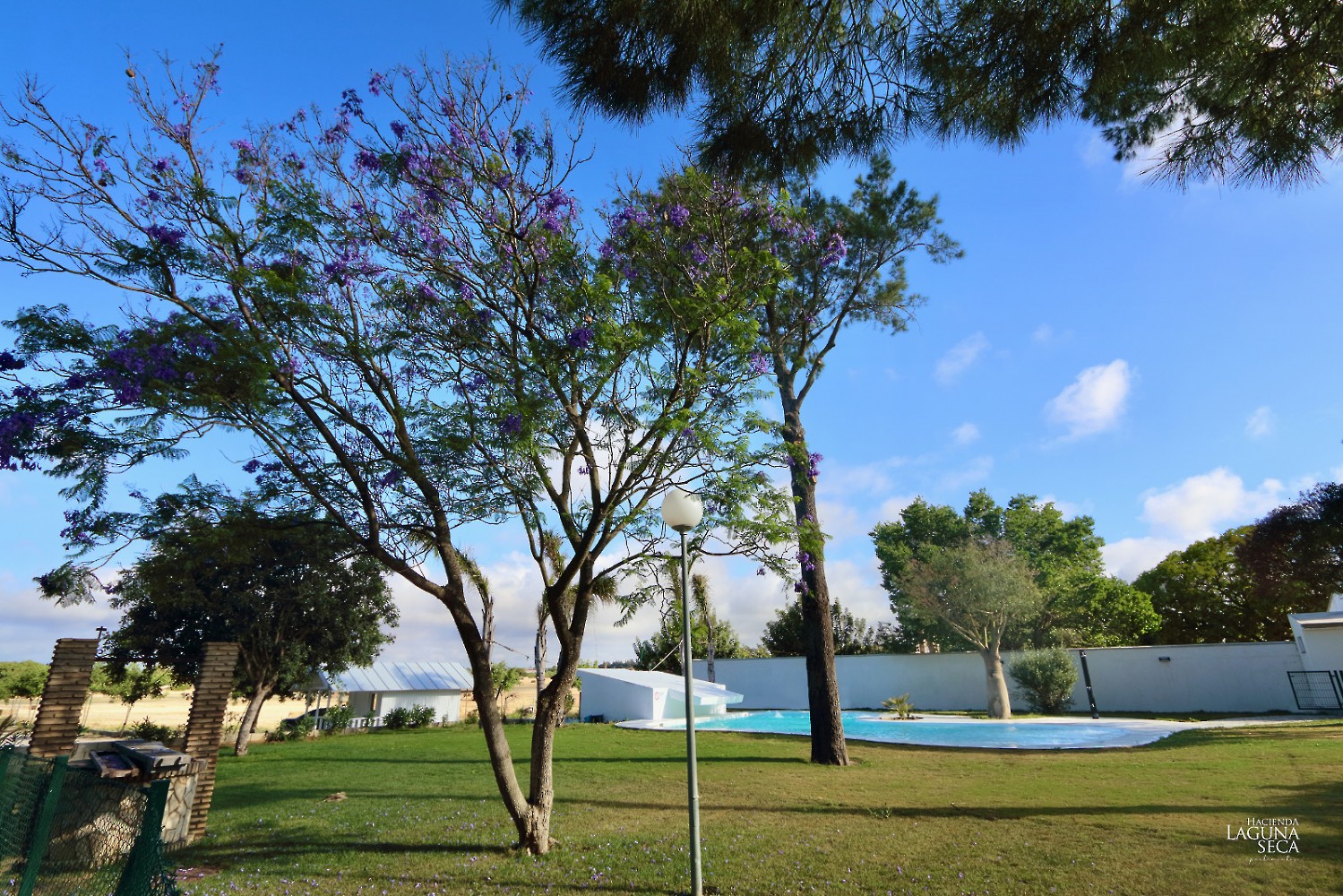Imagen de Piscina
