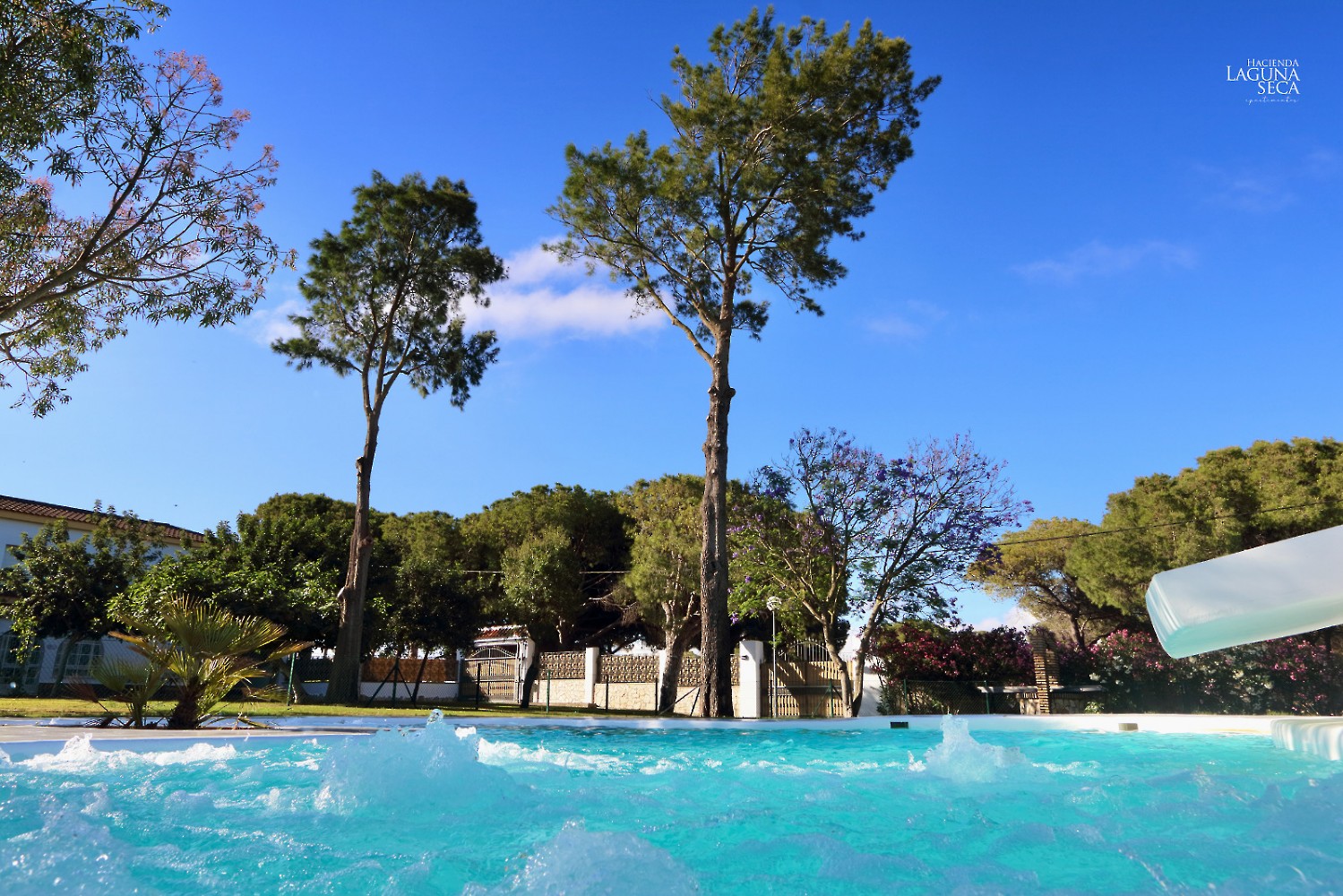 Apartamentos Piscina
