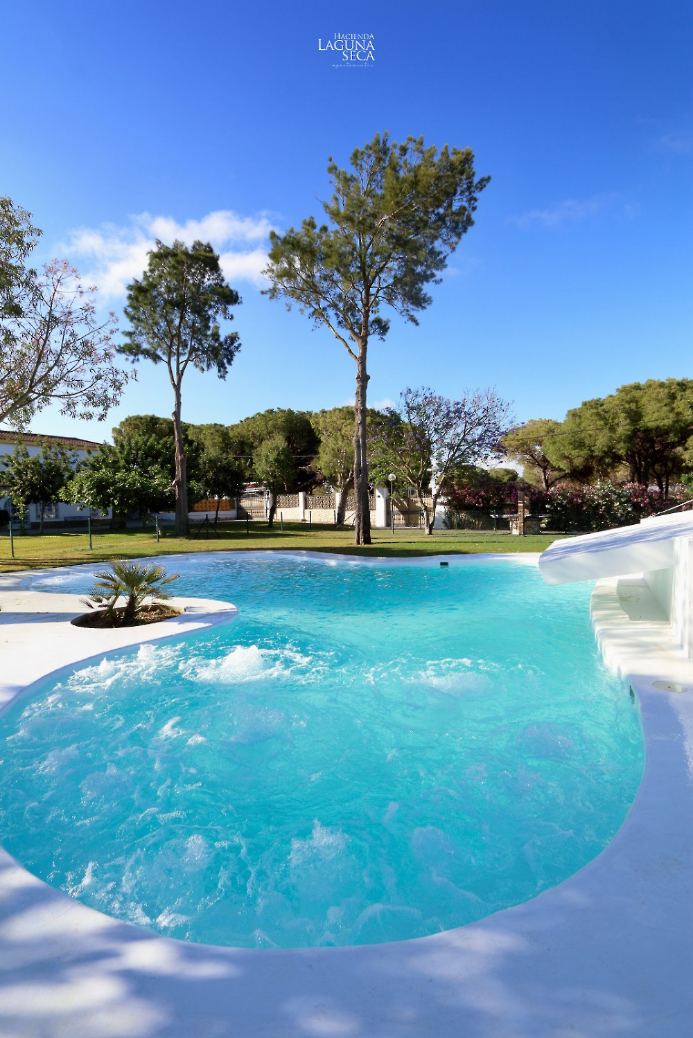 Imagen de Piscina