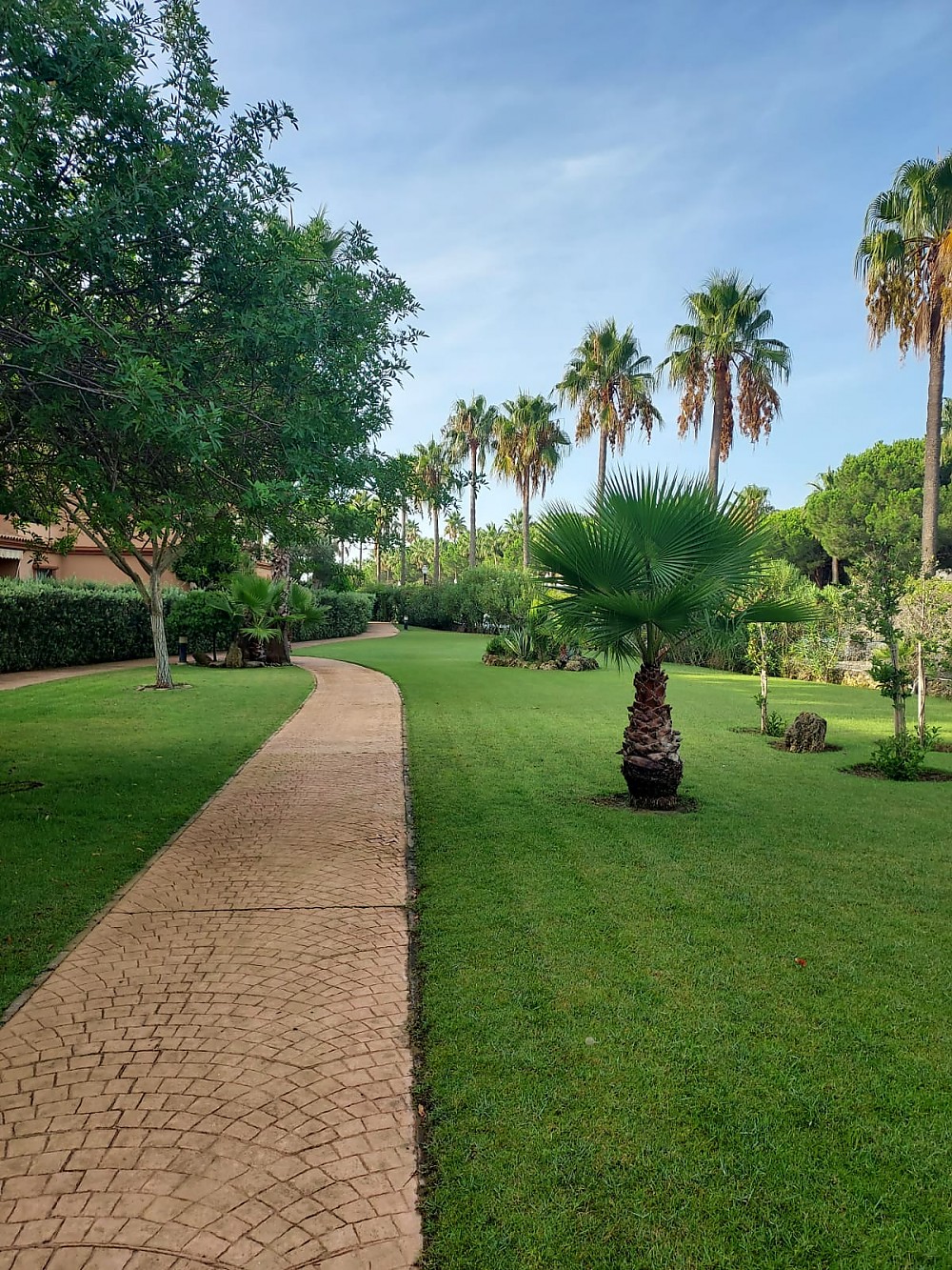 Imagen de Jardín