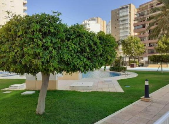 apartamento-en-apolo-xvii-playa-la-fossa image