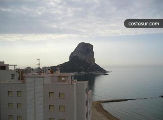 calp04 image