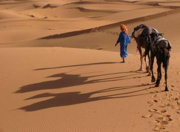 camels-house image
