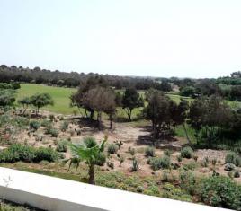 Image 7 of 13