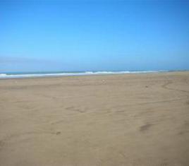 Image 5 of 6
