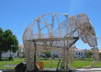 viagem-do-elefante