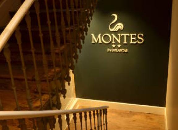 hotel-montes image