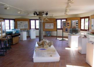 centro-de-interpretacion-da-natu