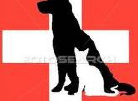 centro-clinico-veterinario image
