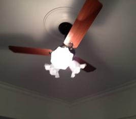 Image 2 of 42