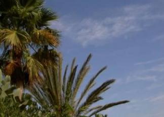 psicologia-online