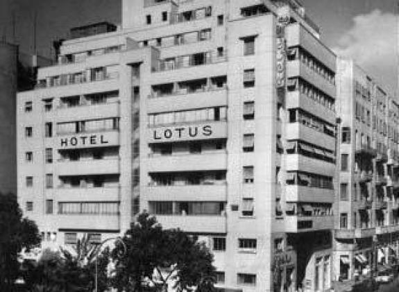 lotus-hotel-cairo image