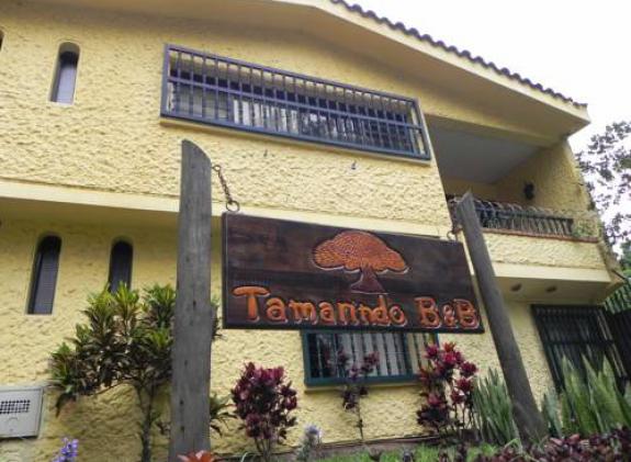 tamarindo-b-b image