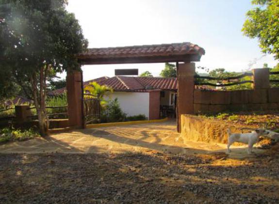 finca-villa-alicia image