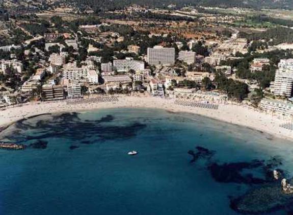 paguera-palmira image