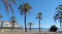 Playa del Duque y sus palmeras, entre el Ocean Club ed el Muelle Benabola en Puerto Banús.