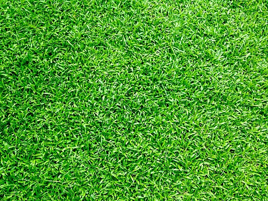 Césped Artificial Asturias Realturf