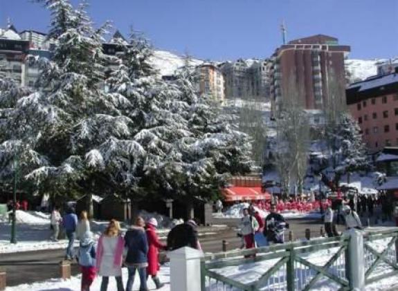 tursi007 image