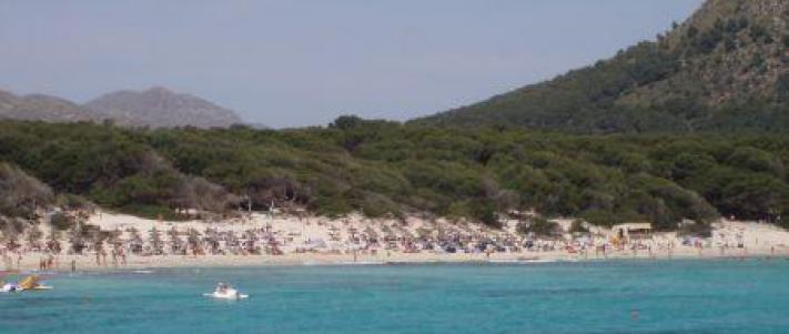 Beach Playa Cala Agulla Or Playa Cala Guya Cala Ratjada Mallorca