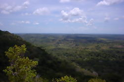 Excursión de un día a Mombasa: Tour a la Reserva Nacional de Shimba Hills