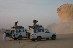 Overnight White Desert and Bahariya Oasis Tour