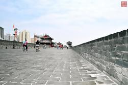 One Day Xi'an History and Culture Experience Tour