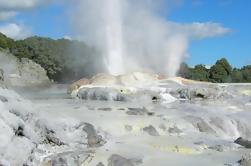 Private Full-Day Rotorua Tour from Auckland