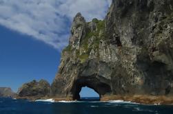 Private Tour: Bay of Islands Day Trip from Auckland