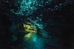 Private Tour: Waitomo Caves Day Trip van Auckland